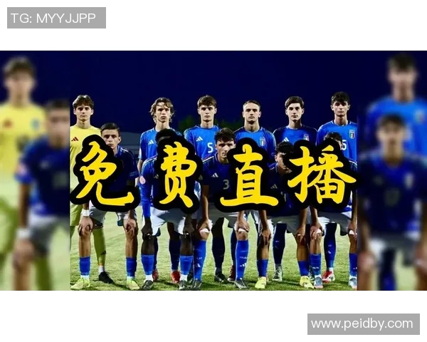 CCTV世界杯直播精彩回顾：对抗、表现、战术与球迷热情